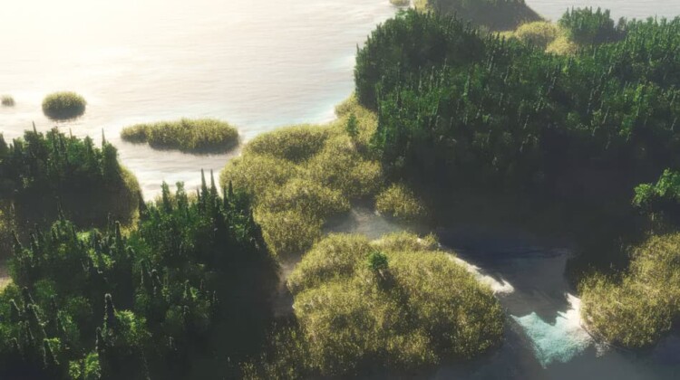 Oralie - Mangrove