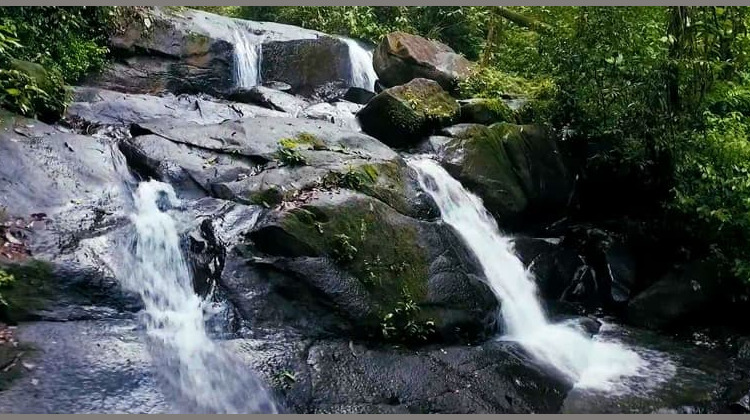 Mornes-Bleus-Vers le Parc des essences